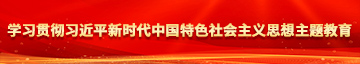 俄罗斯嫩操学习贯彻习近平新时代中国特色社会主义思想主题教育